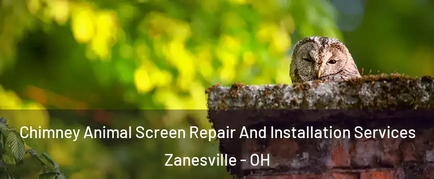  Chimney Animal Screen Repair And Installation Services Zanesville - OH