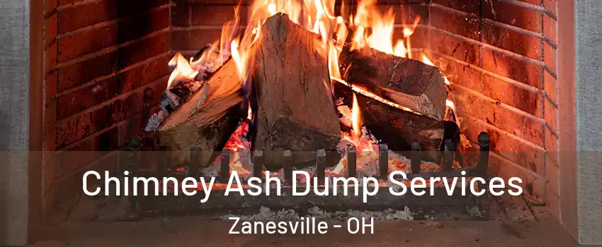  Chimney Ash Dump Services Zanesville - OH