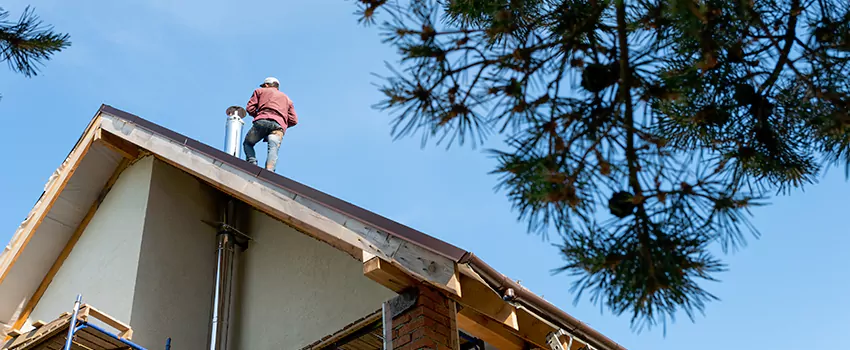 Birds Removal Contractors from Chimney in Zanesville, OH