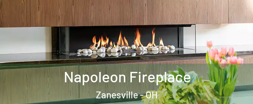  Napoleon Fireplace Zanesville - OH